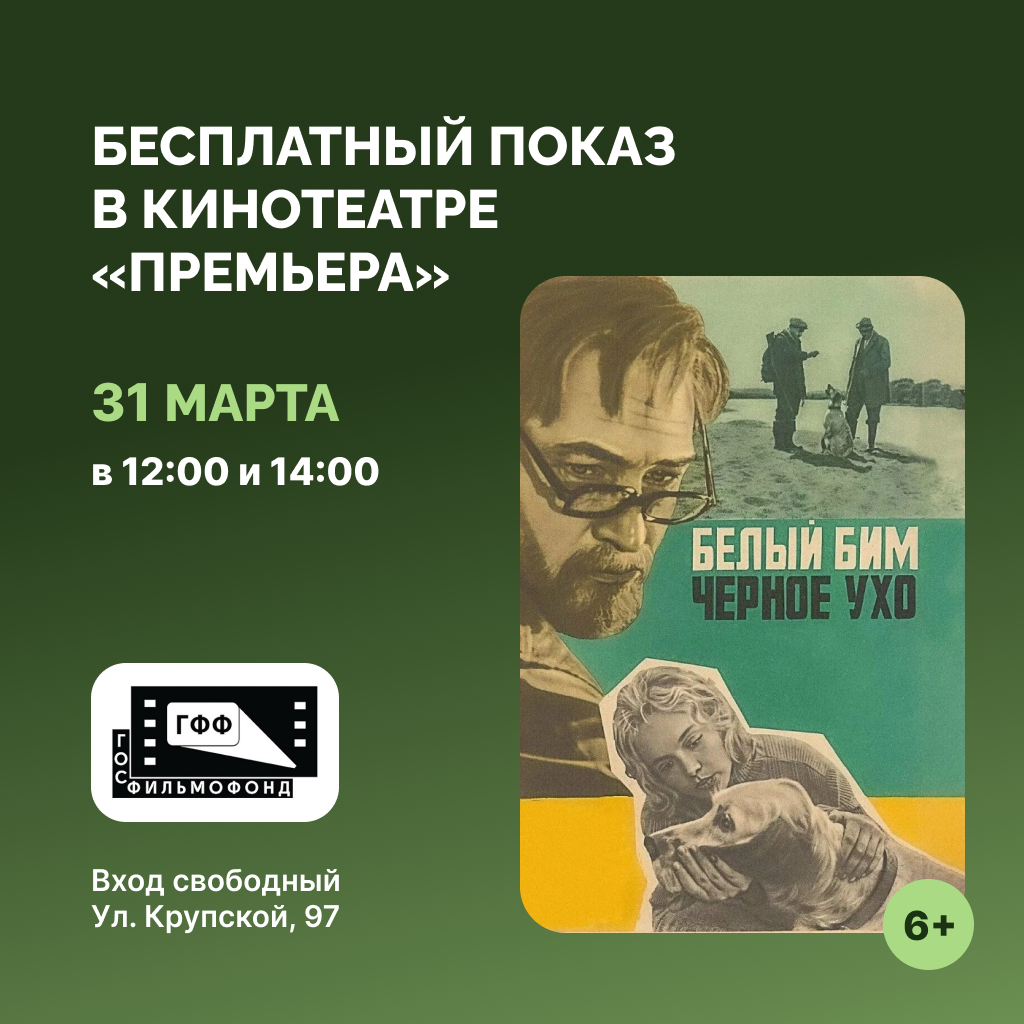 «Белый Бим Чёрное ухо» на большом экране: два сеанса, одна история, миллион сердец